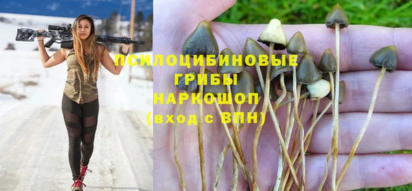 герыч Гусь-Хрустальный