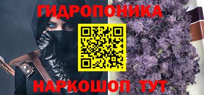 дмт Сланцы