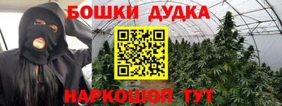 дмт Сланцы