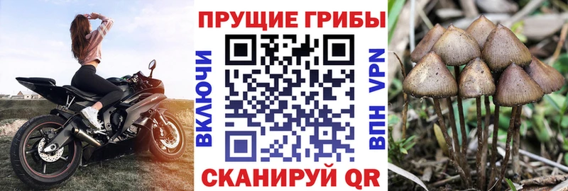 Галлюциногенные грибы MAGIC MUSHROOMS Дятьково