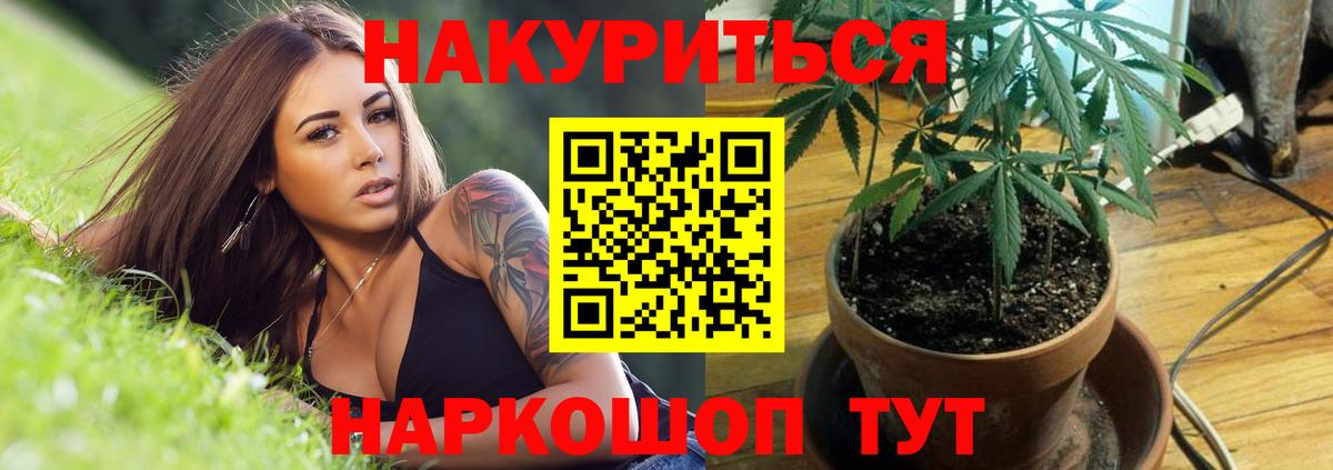 Шишки марихуана тримм Дятьково